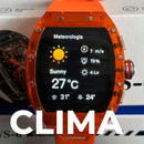 WS-6 : Richard Mille